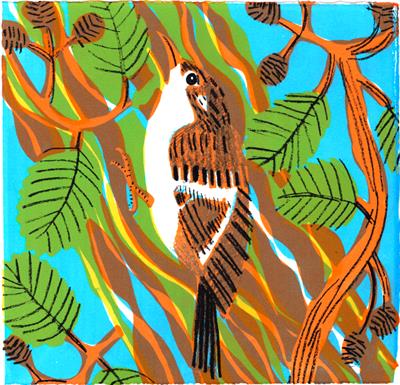 Treecreeper by Kittie Jones