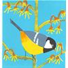 Coal Tit by Kittie Jones