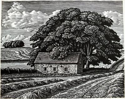 Field Barn Near Dovedale by Howard Phipps