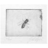 Honey Bee by John Douglas Piper