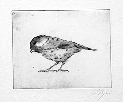 Coal Tit by John Douglas Piper