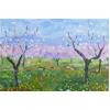 Almond Blossom, Bennisa, Spain by Marcel Gatteaux