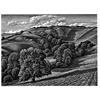 Eggardon Hill Fort by Howard Phipps