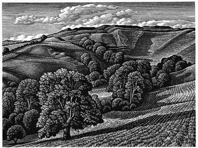 Eggardon Hill Fort by Howard Phipps