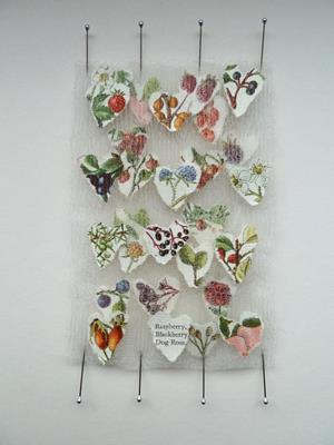 Berries by Susie Freeman