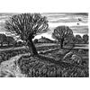 Burrow Mump, Somerset Levels by Howard Phipps