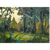 A Clearing, Evening Sun by Robert Newton