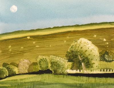 Rising Moon by Liz Somerville