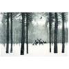 Deer In Winter by Tim Southall