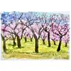 A Field Of Almonds by Annabel Keatley